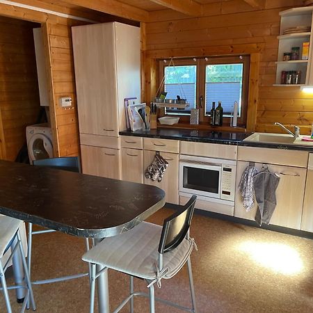 Ferienhaeuser An Den Orgelpfeifen Scheibenberg Extérieur photo
